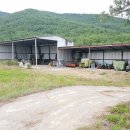 안동목장 이미지