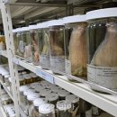 영덕야생동물구조센터 이미지