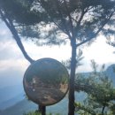 동구밖과수원길 이미지