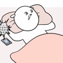 모짜르트펜션 | [참좋은여행]동유럽여행 발칸반도여행 10박11일 여행후기 패키지여행 5개국 3일차_체코 오스트리아