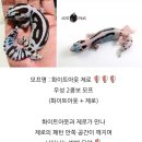 와우펫앤쥬 부산점 | 새 가족이 왔어요! / 부산와우펫앤쥬 펫테일도마뱀 입양 분양 후기 / 펫테일 게코 도마뱀 파충류 집사