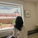 키쉬미뇽고속터미널역점 | 신사역 가로수길 반나절 코스 추천(스스키노, 타만타커피바, 요이사)