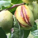 명은농장 이미지