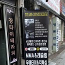팀젠틀리