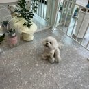 단지까까 이미지