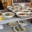 운채 티스토리