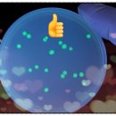 주식회사 에이치이엠 이미지