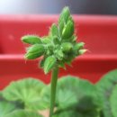 빛으로부터..(fr 이미지