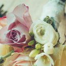 오라버니 이미지