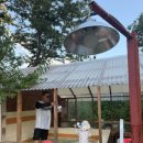 달빛자락 이미지