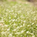 1파운드짜리 빵의 무게 이미지