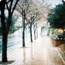 오늘의 경주 이미지