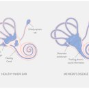 구월경희한의원 이미지