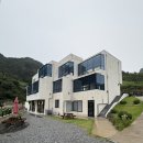 이야기펜션 | 울릉도 숲이야기펜션 103호 이용 후기 (바베큐, 자쿠지, 울릉라면)