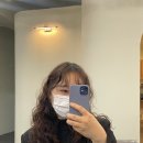 모델머리방
