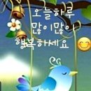 ＜詩-낭송＞- 새도 가끔은 /나동수, 이미지