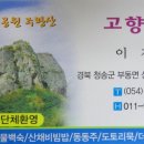 봄여름가을겨울펜션민박 이미지