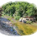 초당산방민박 이미지