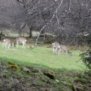 가사목장 이미지