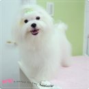 루아 - 달서구 달구벌대로 1429-5 | 루아