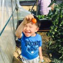 고남농장 이미지