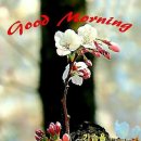 마루벌돌구이 군산점 이미지