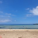 창흥동해수욕장 이미지