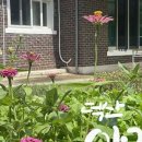 덕산 아라채 이미지