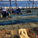 종삼농장 이미지