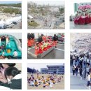 충훈2교_동 이미지