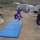 대오체육관 이미지