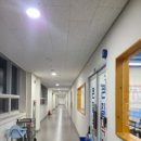 큰길낙지볶음 이미지