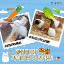 초록마을가든