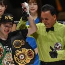 월드 복싱 체육관 이미지