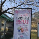 23-거창버스터미널 부근 | 사진 찍기 좋은 명소 거창 벚꽃길, 건계정 걸어보아요!🌸 - 이원필 기자