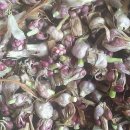 귀동농장 이미지