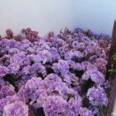 지에스25 W타워점 | [W.02_웨딩홀투어] 안양 더파티움&amp;파티오벨라&amp;서울웨딩타워 투어 솔직후기