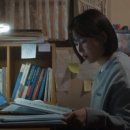 스테디독 이미지