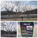 임고초등학교 금대분교장 이미지