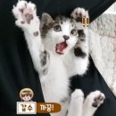 데일리목장 이미지