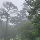 삼오행정사사무소 이미지