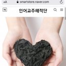 수산물 쇼핑몰 “인어교주해적단” 이미지