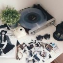 Dream Leav 이미지