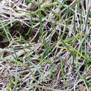 달래농장 이미지