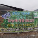 유정락 티스토리