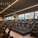와이디짐 네이버블로그