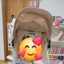 타보 트래블러M 트라이크👍👍 추천!! 이미지