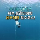 다이브스테이 | 세부 막탄 여행 필수코스 세부 프리다이빙 강습 업체 추천 유니버스다이브