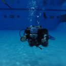 스킨스쿠버, 스킨다이빙(화) 이미지