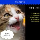 포레스트동물병원 이미지